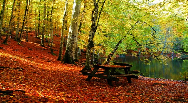Bolu Yedigöller Düzce Turu